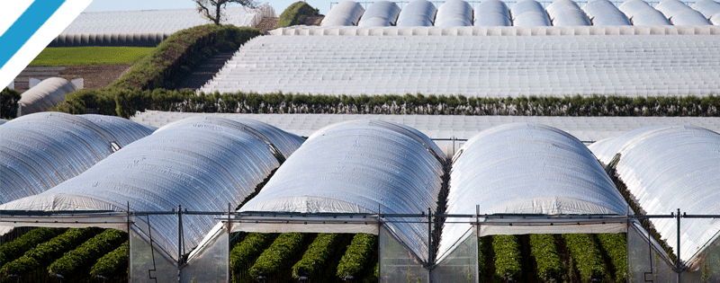 AGRICULTURAL